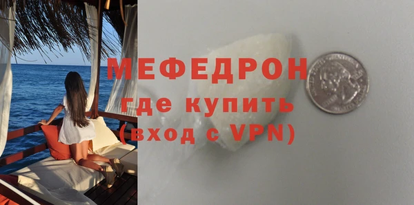 гидра Няндома