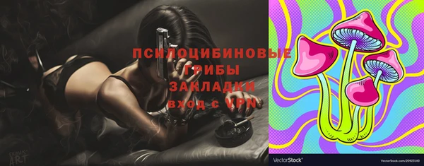 винт Осташков