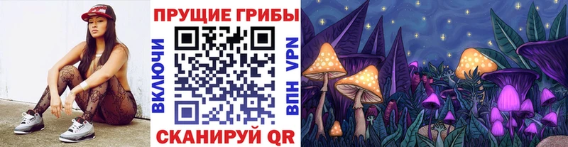 Купить где  Туринск  Псилоцибиновые грибы мицелий 